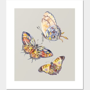 Watercolour Butterfly Posters and Art